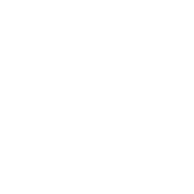 Roxan Dictionary app icon